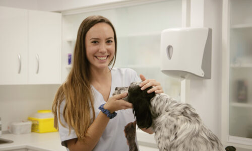 Dermatología Veterinaria