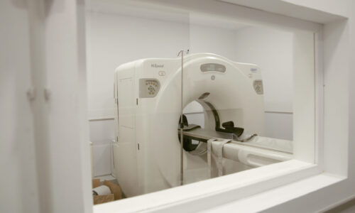 Neurología Veterinaria